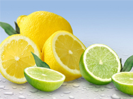 ؛���D�ƺ���F�|��覴����̎����